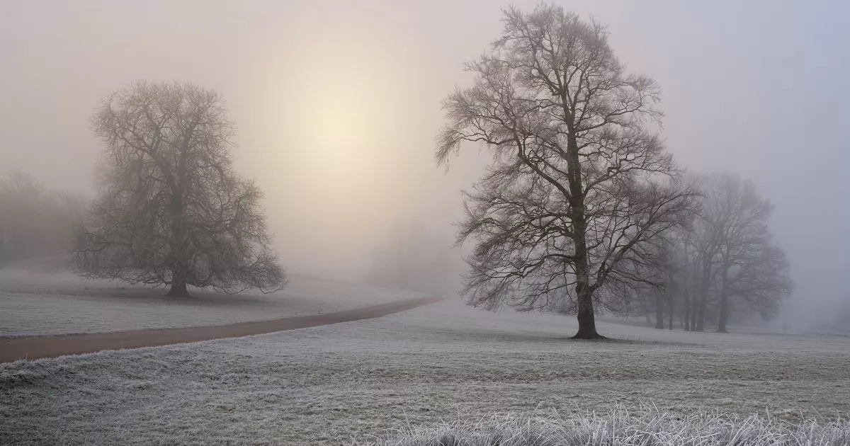 Amber cold weather alert issued for Leicestershire as -7C predicted