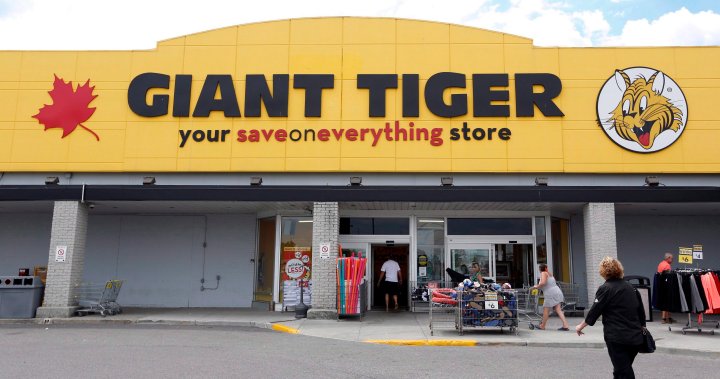 Giant Tiger customer data compromised in cyber 'incident.' What to know – National | Globalnews.ca – Global News