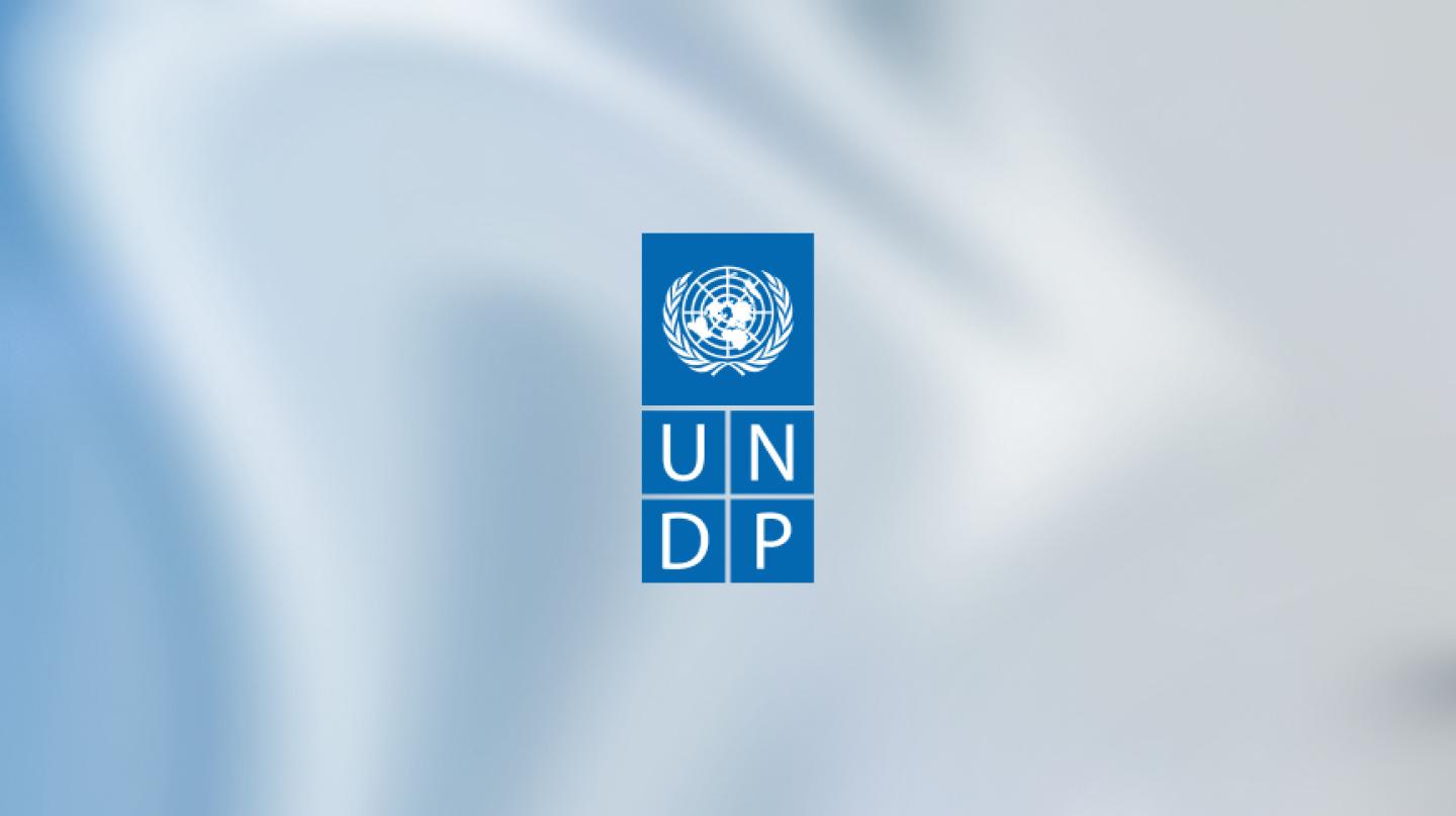 UNDP Investigates Cyber-Security Incident – United Nations Development Programme