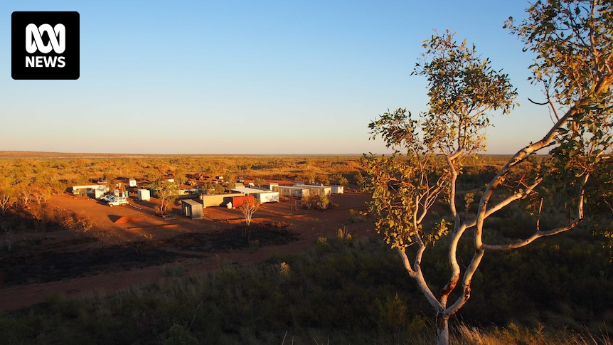 Rare earths miner targeted in cyber attack prior to removal of Chinese investors – ABC News