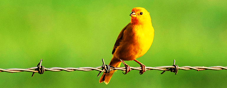 CrowdStrike Admits it Doesn’t ‘Canary’ Test all Updates