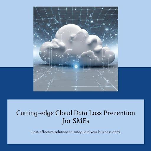 Innovative Strategies for Enhancing Cloud Data Security in SMEs and Cost-Effective Cloud Data Loss Prevention