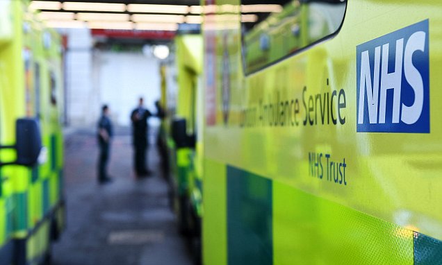 NHS had 66 alerts over cyber attack but did nothing