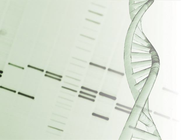 New insights into how genetic variants influence disease risk