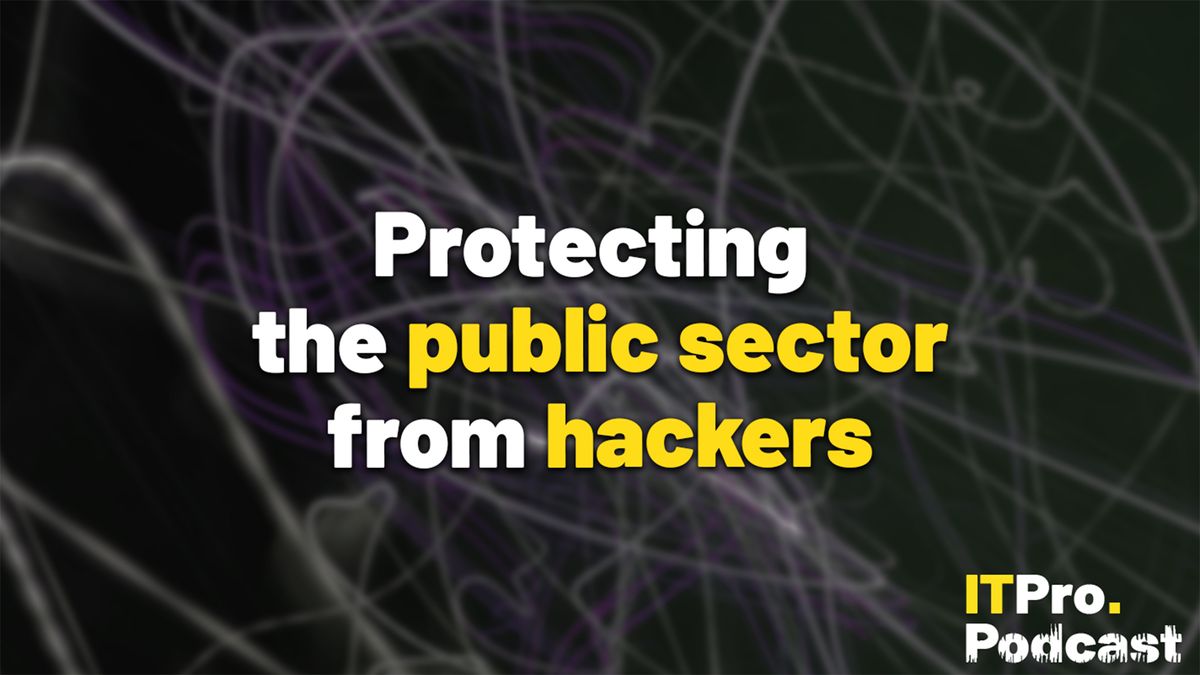 Protecting the public sector from hackers