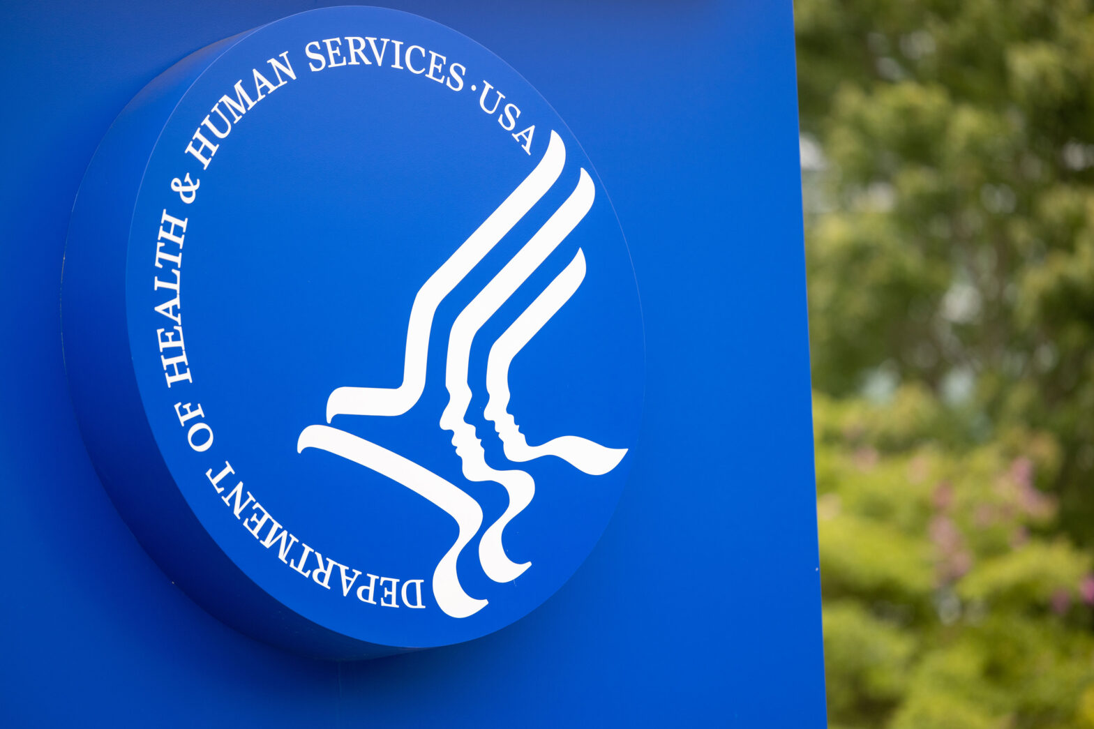 The CDC’s Test for Bird Flu Works, but It Has Issues