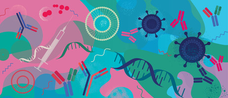Using mRNA vaccines to prevent UTI, cancers