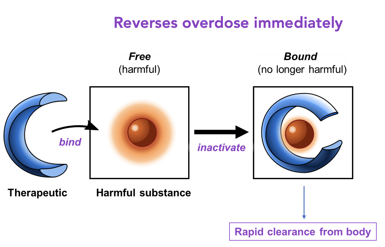 A game-changer in methamphetamine treatment