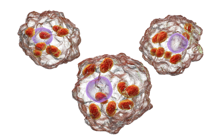 Leishmaniasis Research Gets Major Boost for Vaccine Development