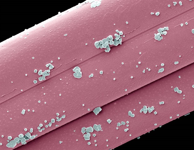 Revolutionary real-time microscopy unveils secrets of motor protein behavior