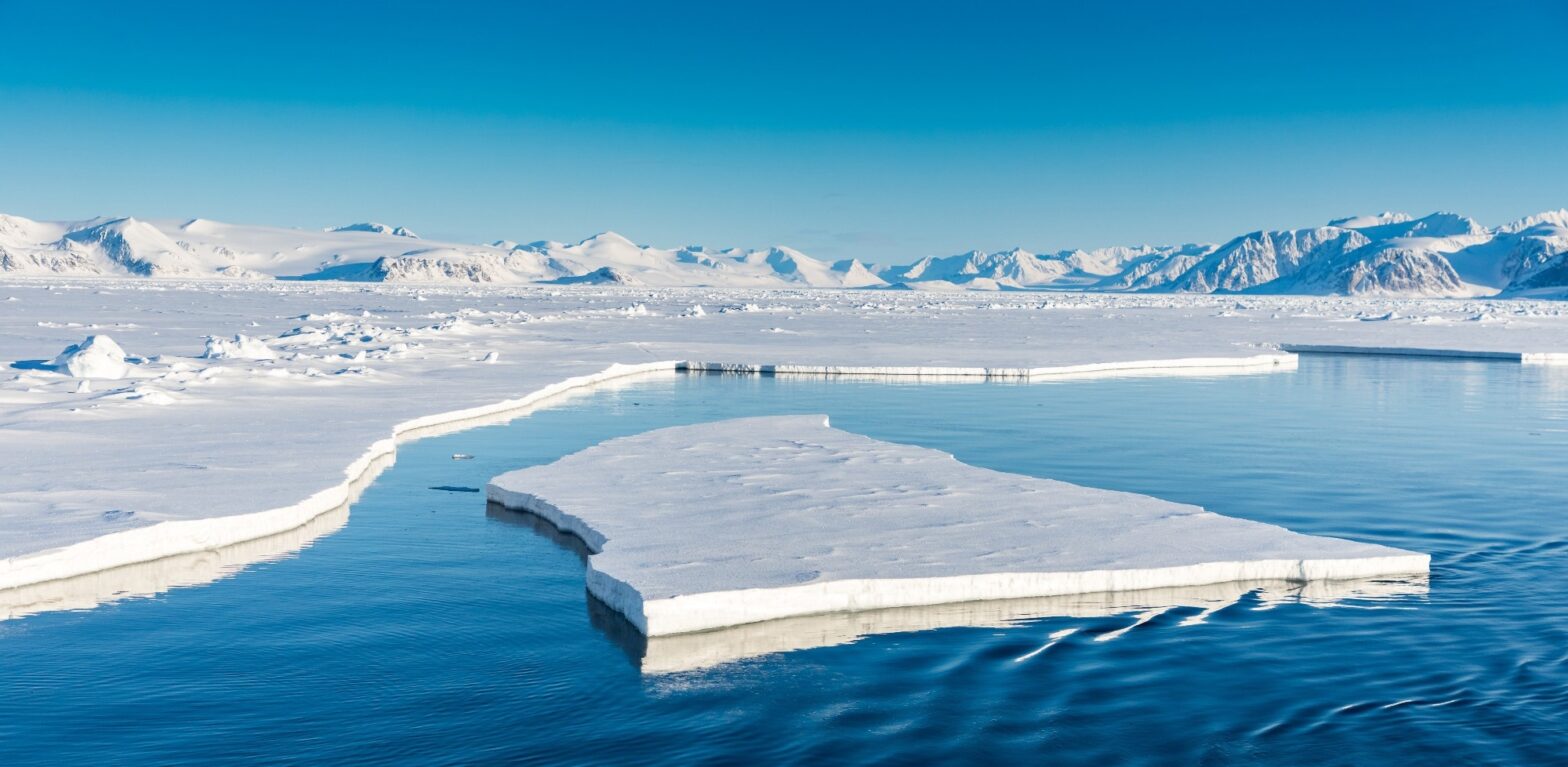 The Arctic Sea revealed as a potential treasure trove for new medicines