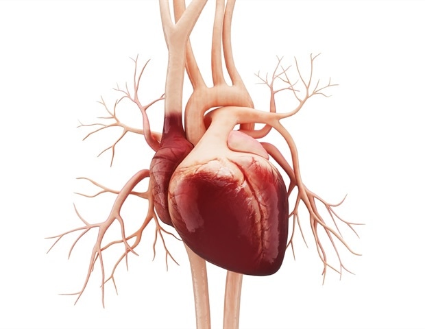 FINEARTS-HF trial shows finerenone benefits for heart failure with preserved ejection fraction