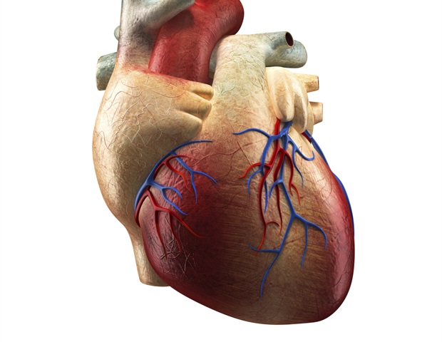 T-TEER shows promising outcomes in severe tricuspid regurgitation patients after one year